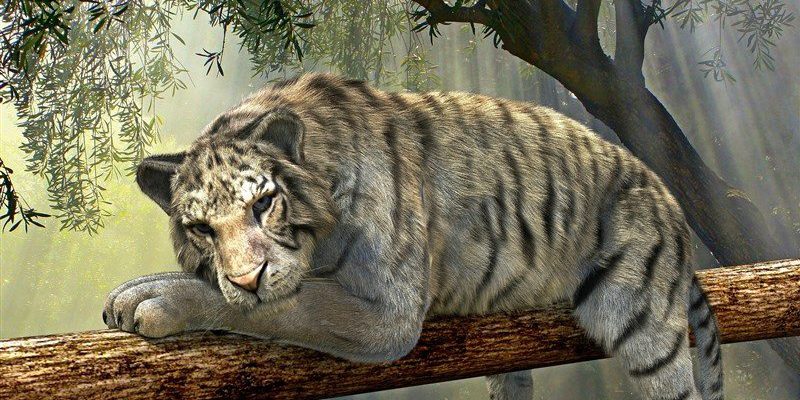 9 MARS 2018, SORTIE CONCERT « LE LIVRE DE LA JUNGLE » PAR L’ORCHESTRE ROYAL PHILHARMONIQUE DE LIEGE 9 MARS 2018, SORTIE CONCERT « LE LIVRE DE LA JUNGLE » PAR L’ORCHESTRE ROYAL PHILHARMONIQUE DE LIEGE